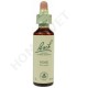 Bach Flower Remedies for Animals - Vine